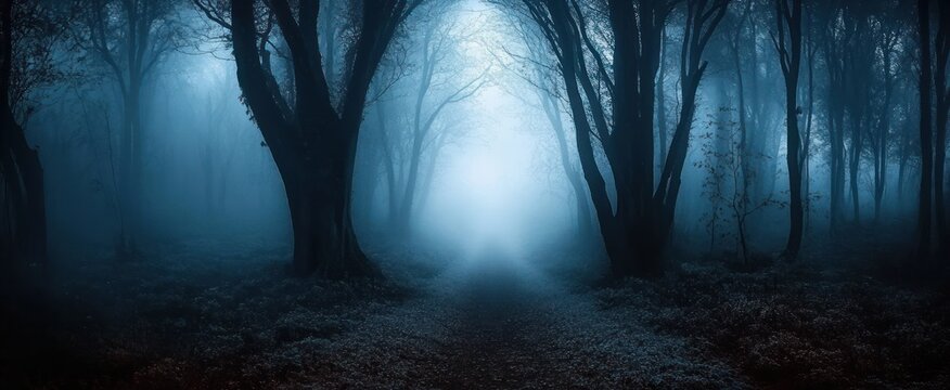 Foggy Forest at Dawn Dark Gothic Atmospheric Landscape Halloween Fantasy