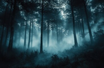 mysterious foggy forest at dawn dark eerie landscape