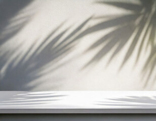 white empty wall with shadow from palm tree background for product display