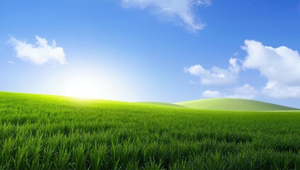 Fototapeta premium Lush Green Fields Under Clear Blue Sky with Soft Clouds and Gentle Hills in Background