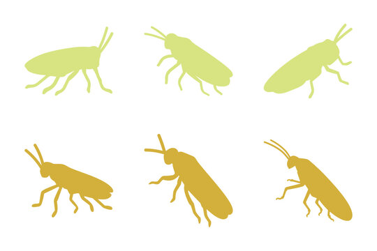 leafhopper Silhouette Icon Set Design