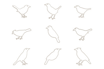 Myna Bird Outline Icon Set