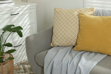 Soft decorative pillows and blanket on sofa in room