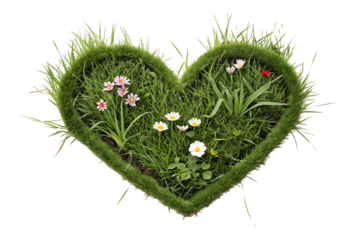 Floral Grass Heart PNG: Romantic Design Element, High-Resolution
