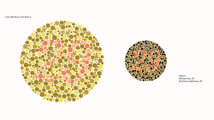 Color vision test or Color Blindness Test Plate 3, Normal view 8, Red Green deficiency 3. And Plate 4, Normal view: 29, Red Green deficiency: 70. © A.S.Khan
