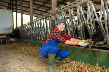 Young woman farmer feeds cows with hay from her hands on dairy farm