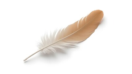 3D highly detailed feather with realistic textures, perfect for nature, writing, and artistic themes.

