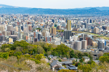 桜咲く花岡山公園から望む熊本市街地