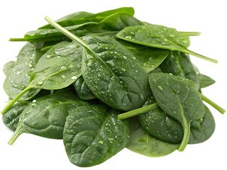 Fototapeta premium spinach leaves on white background