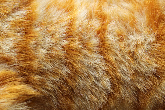 Orange striped plush artificial fur fabric material close-up textured background