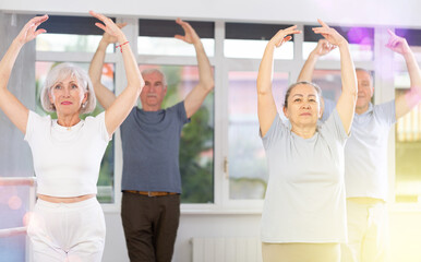 Energetic elderly woman ballet dancer executing ballet movements with group of older men and women...