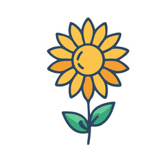 sunflower on white background