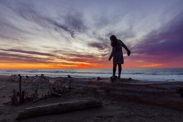 Fototapeta premium A woman stands on driftwood at sunset on Point Reyes Beach, Inverness, California, USA. She is holding a hat and looking out at the ocean. The sky is a mix of pink, orange, and gray.