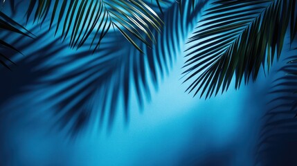 Abstract blue background with palm leaf shadow for cosmetic product presentation.
