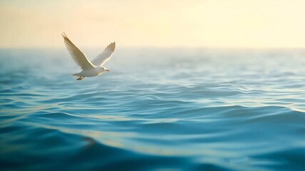 Seagull Wallpeper Ocean Calm