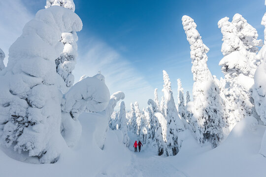 Couple dans une paysage d'hiver f&eacute;&eacute;rique au parc national des Monts-Valin. Vall&eacute;e des Fant&ocirc;mes, Qu&eacute;bec.