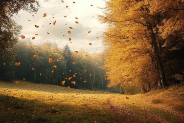 Fototapete Autumn Landscape with Falling Leaves in Colorful Woods Romantic Fantasy Nature Scene © alu