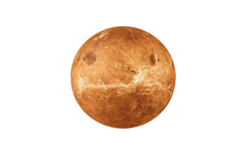 Large, round, orange object is on a white background, isolated