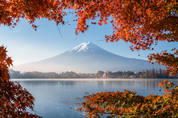 Colorful Autumn Season and Mountain Fuji with morning fog and red leaves at lake Kawaguchiko is one of the best places in Japan