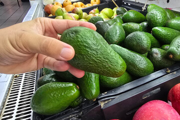 A person selecting a fresh avocado from a market produce display