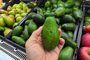 A person selecting a fresh avocado from a market produce display