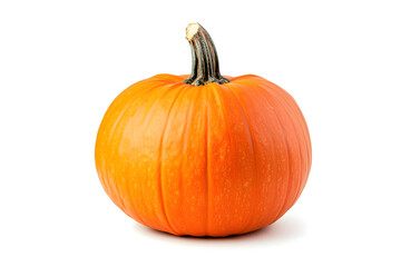 Orange Pumpkin Harvest, Autumn's Delight