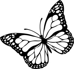 Butterfly Monarch Butterfly S...