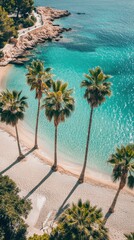 Sunny beach with lush palm trees and crystal clear water inviting relaxation and fun in the tropical paradise