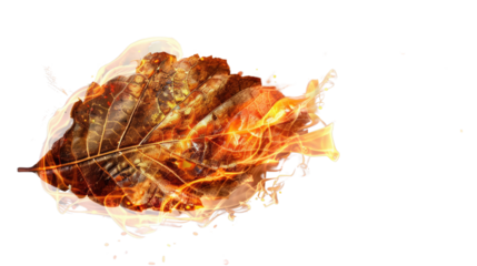 Burning Leaf: A macro shot of a vibrant autumn leaf, consumed by fire, symbolizing change, transformation, and the ephemeral beauty of nature.