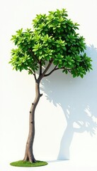 Long tree branch leaning against a bright white wall, isolated, shape, branch
