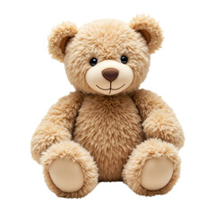 Obraz premium Cute teddy bear, white isolate background