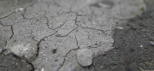 Cracked soil reveals textures and patterns in an arid landscape during midday light