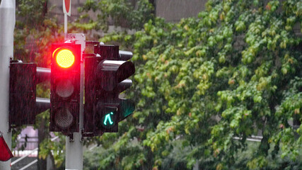 red traffic light glows brightly in the rain accompanied by a green pedestrian signal, set against a backdrop of lush green trees. 
