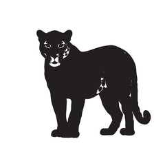 Obraz premium Black Panther Vector Illustration on White Background