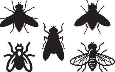 set of fly insect icon or logo silhouette design vector art illustration  © Mohaiminul