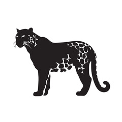 Obraz premium Black vector silhouette of a wild panther, an isolated animal illustration