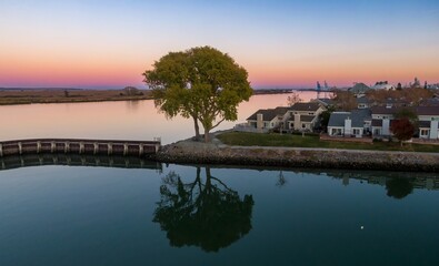 Obraz premium Sunset over a calm river in Pittsburg, California, USA, reflecting a large tree and nearby houses. The scene captures the tranquility of suburban life near the water.