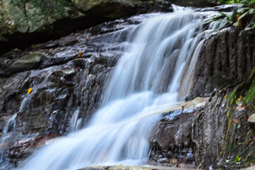 Beautiful small waterfall in green forest