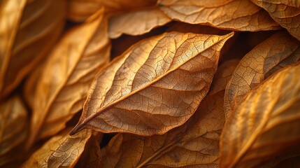 Autumnal Dried Leaves Close-up Pile Background
