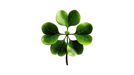St. Patrick's Day greeting card png St. Patrick's Day design png shamrock card png Irish holiday card png transparent background image