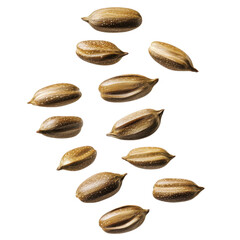 Obraz premium Seeds on a black background creating a striking visual contrast.