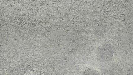 Fototapeta premium wall background with gray color. Abstract paint concrete wall background texture. Concrete gray wall background with copy space.