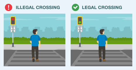 Pedestrian safety rules and tips. Legal and illegal street crossing. Cross only on green. Back view of a male pedestrian on crosswalk. Flat vector illustration template. © flatvectors