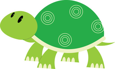 turtle wild animal illustration