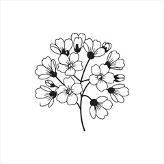 Test 400Why Gypsophila Is the Perfect Flower for Weddings and Bouquets