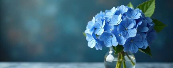 Blue hydrangea blooms arranged in a elegant vase, vases, blue