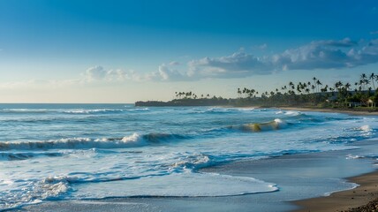 Obraz premium Tropical Beach with Gentle Waves