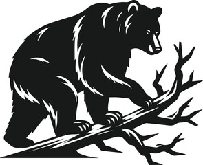 Bear vector