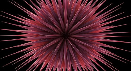 Fototapeta premium Pink Starburst Abstract Design