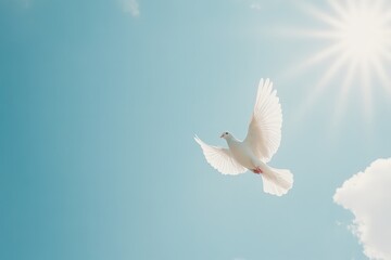 Fototapeta premium A graceful white dove soars against a bright blue sky, symbolizing peace and freedom.